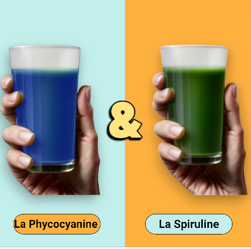 La Spiruline 100% bio 1kg