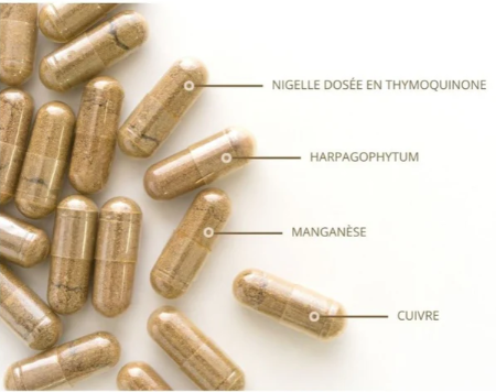 La Nigelle Thymoquinone à 20%)