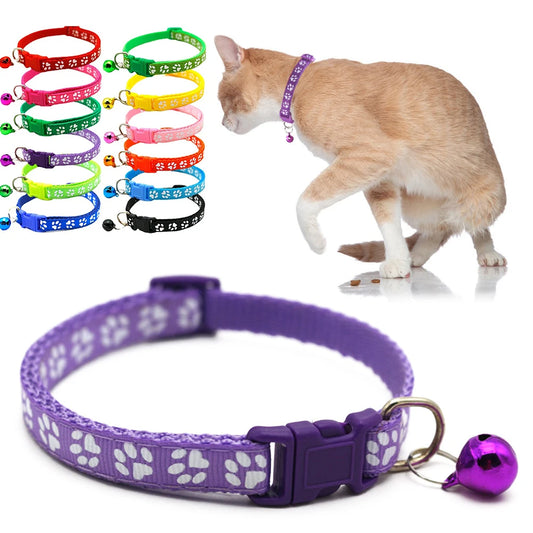 Collier de Chat Coloré avec Clochette