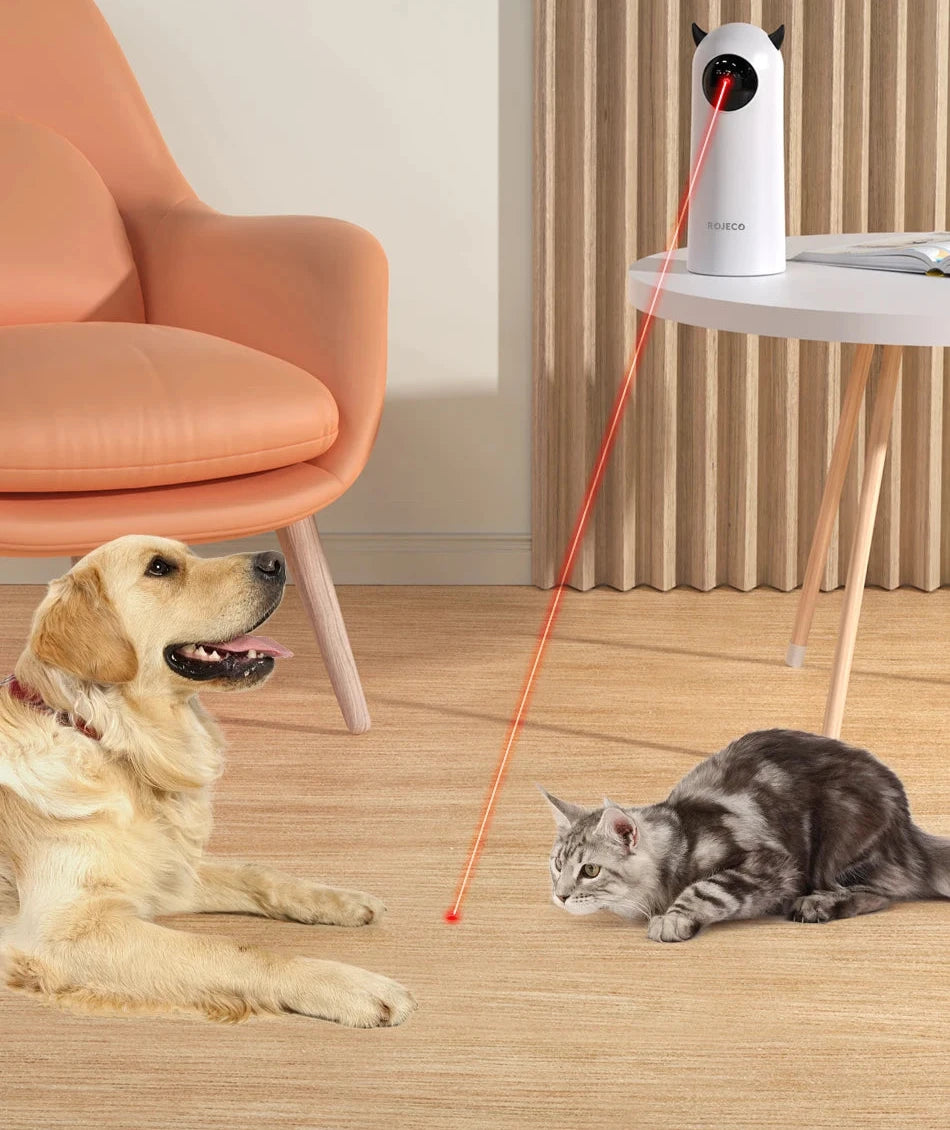 ROJECO Jouets automatiques pour chat