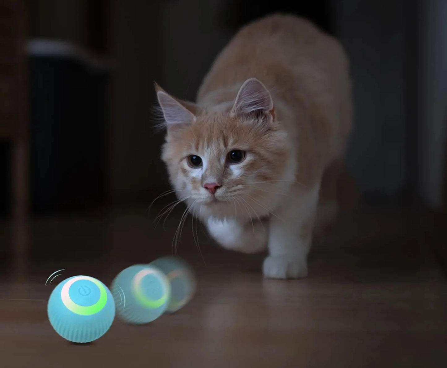 Balle de jouet interactive pour chat