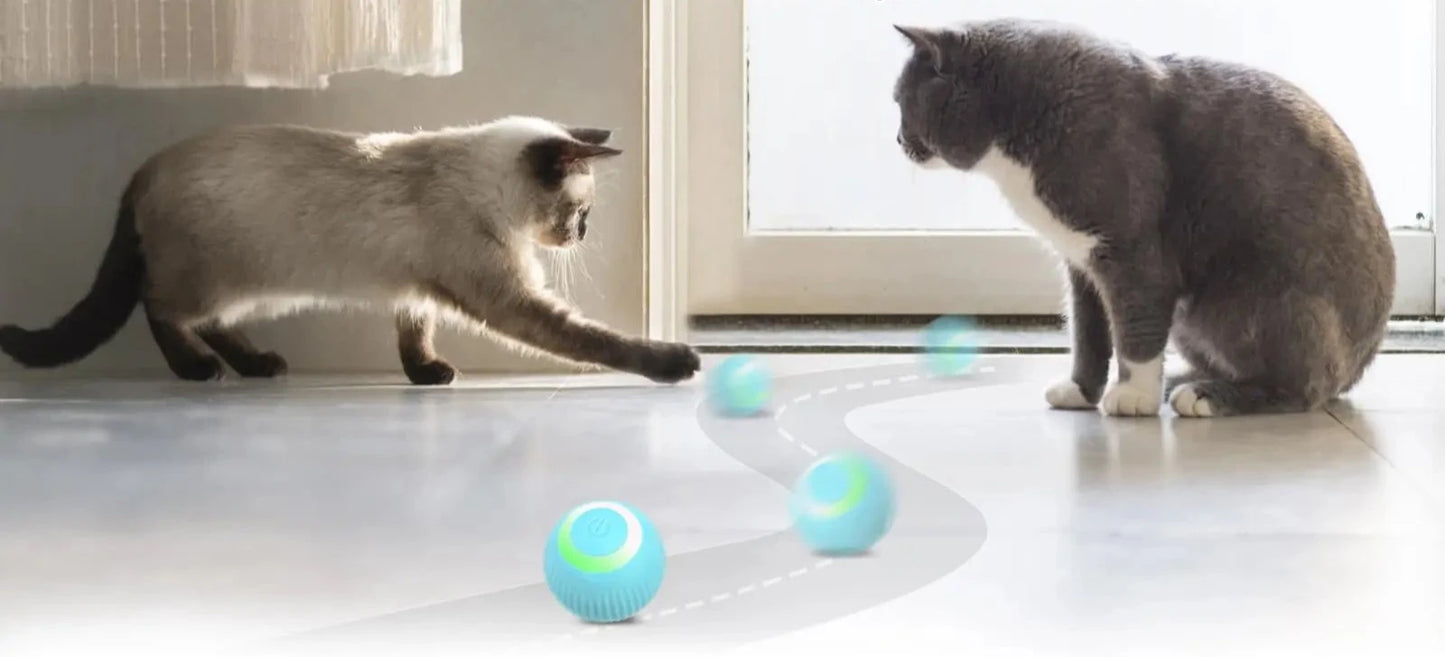 Balle de jouet interactive pour chat