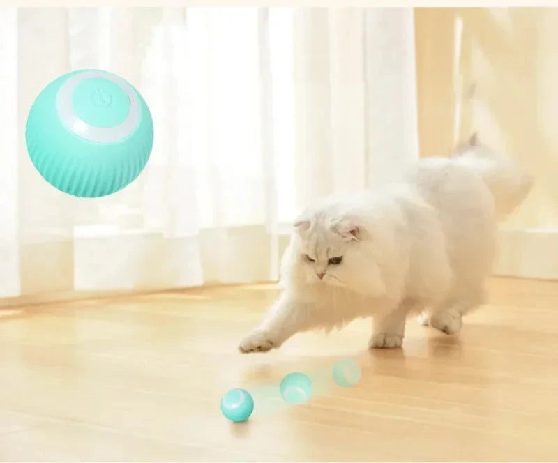 Balle de jouet interactive pour chat