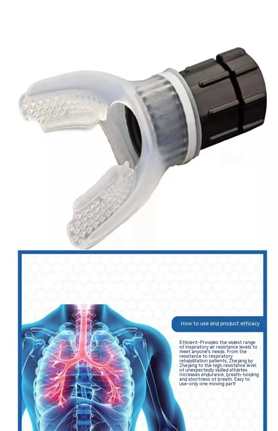 Lung Capacité respiratoire et pulmonaire