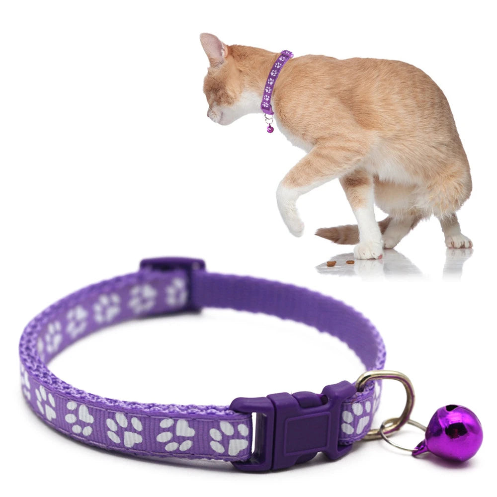 Collier de Chat Coloré avec Clochette